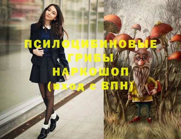 mix Арсеньев